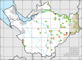 Figure 5: River species.