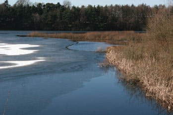 Nunsmere in winter. Photo © Peter Twist