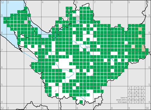 Breeding tetrads with dedicated visits—first two years.