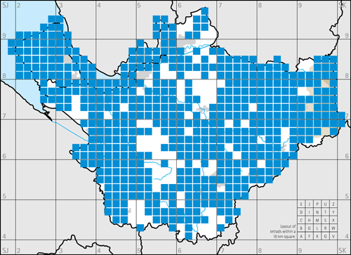 Winter tetrads with dedicated visits—first two years.