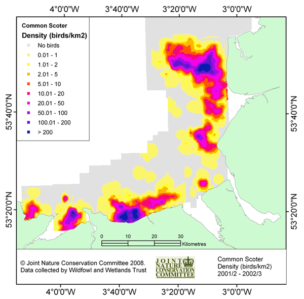 Common Scoter density map