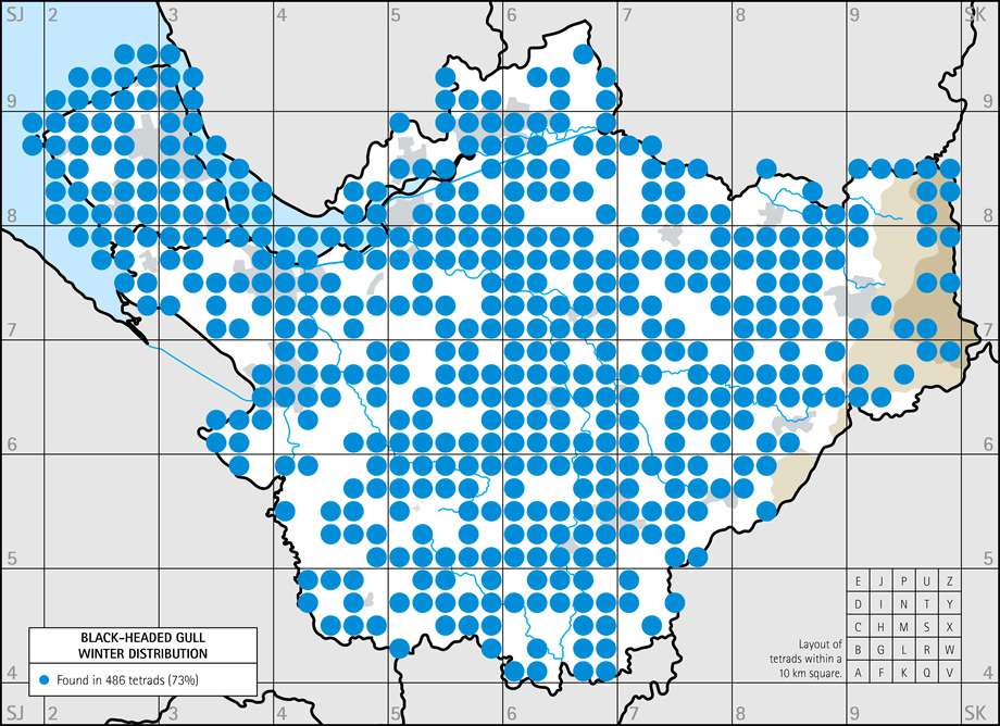 Winter distribution map