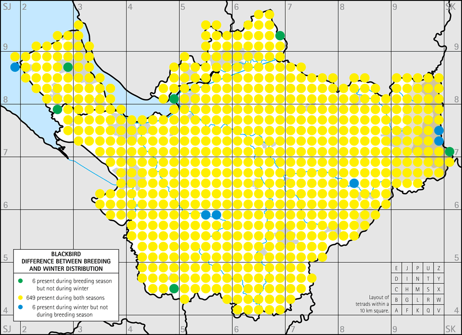 Difference between breeding and winter distribution map