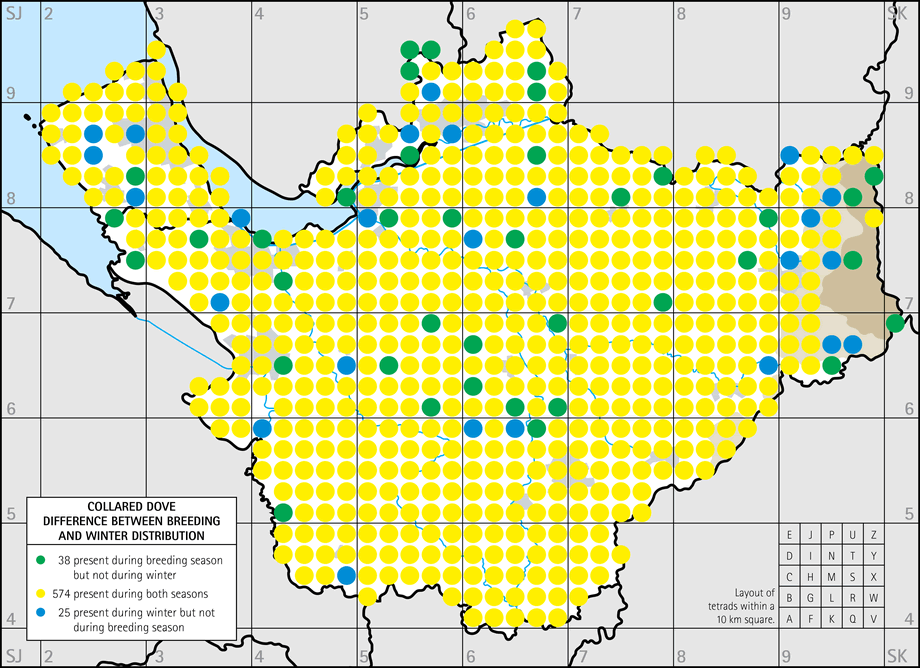 Difference between breeding and winter distribution map