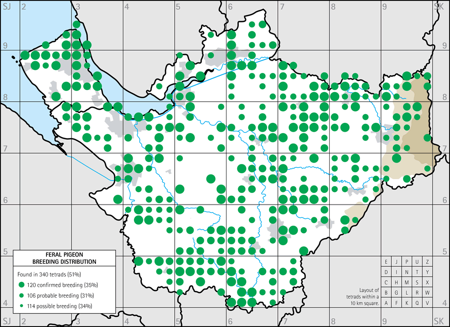 Breeding distribution map