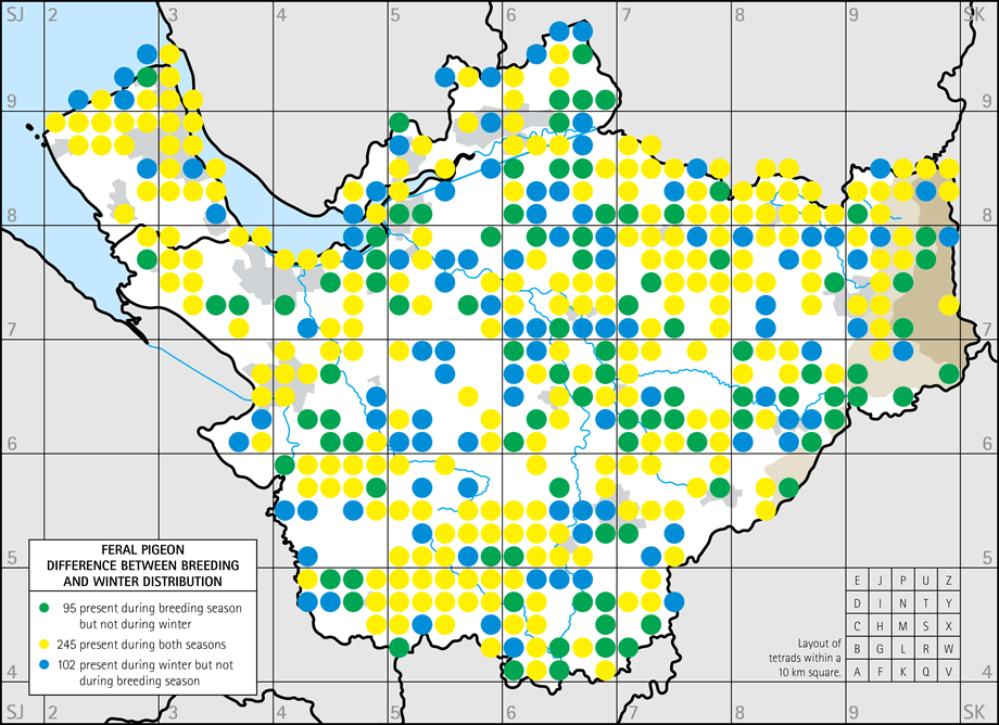 Difference between breeding and winter distribution map