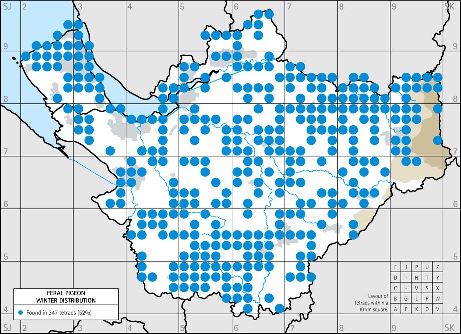 Winter distribution map