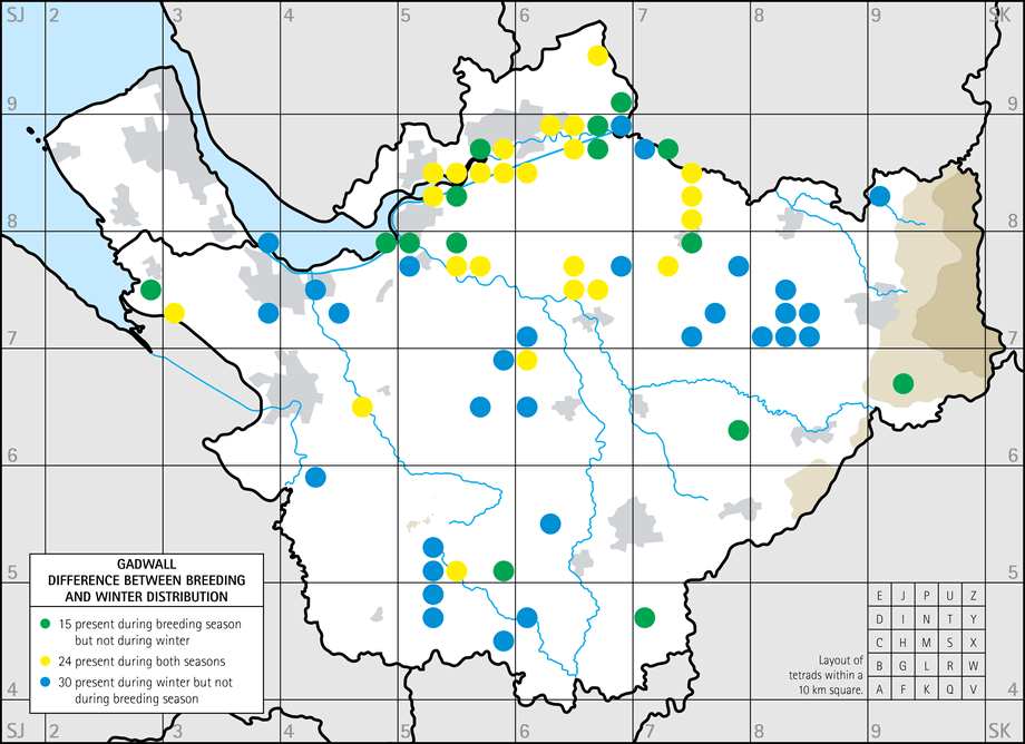 Difference between breeding and winter distribution map