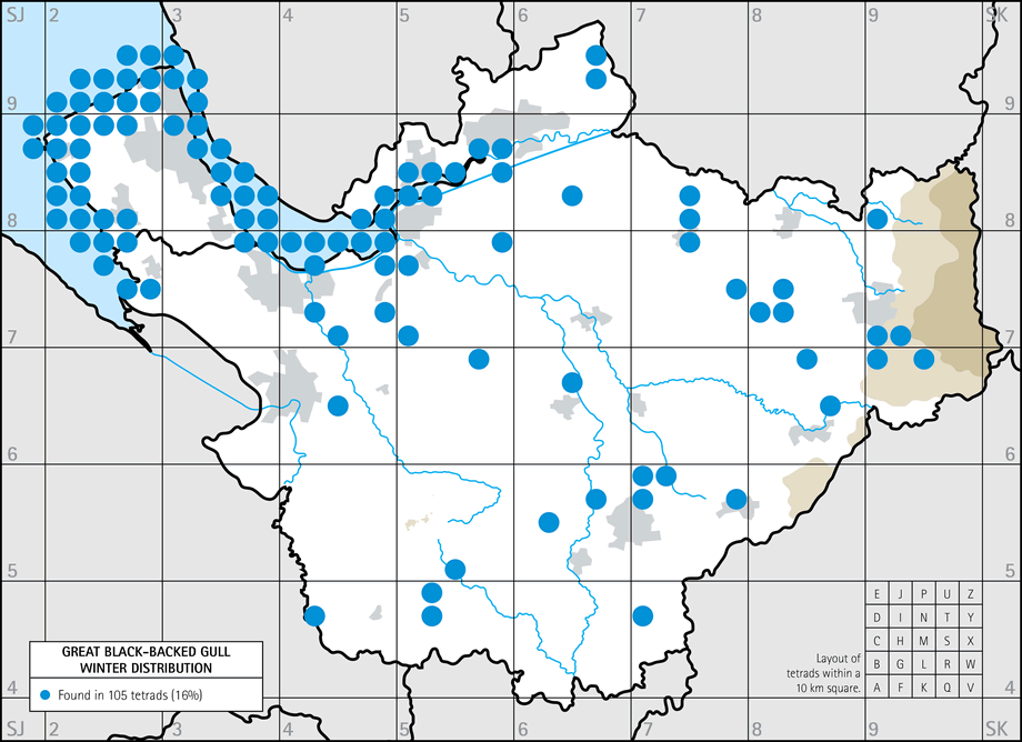 Winter distribution map