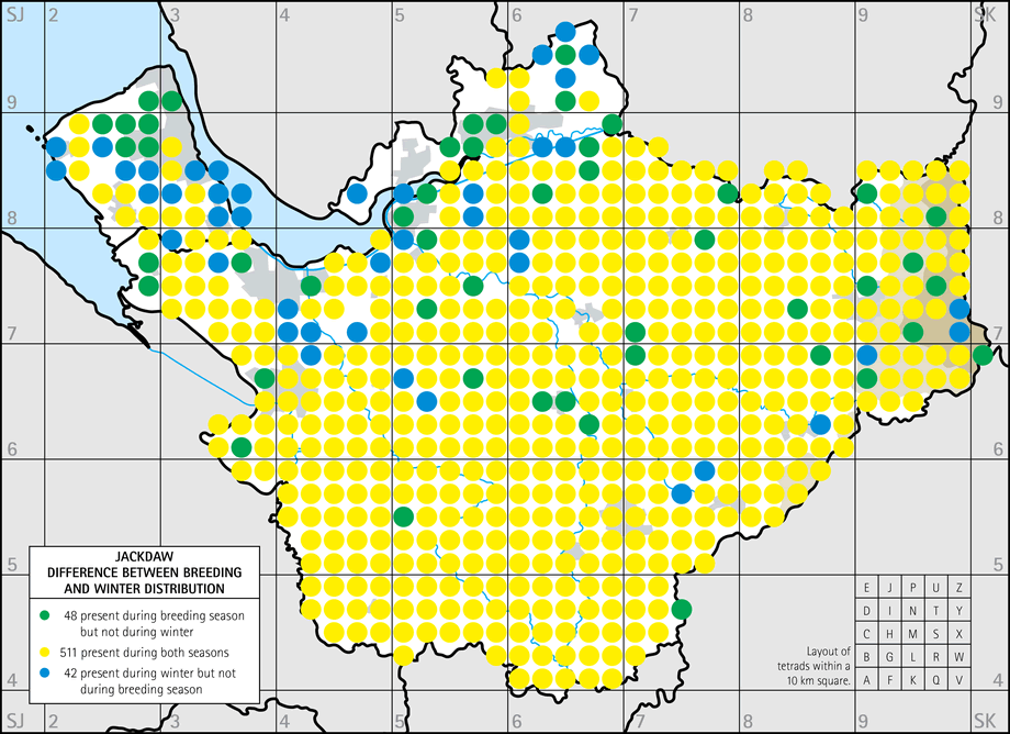 Difference between breeding and winter distribution map