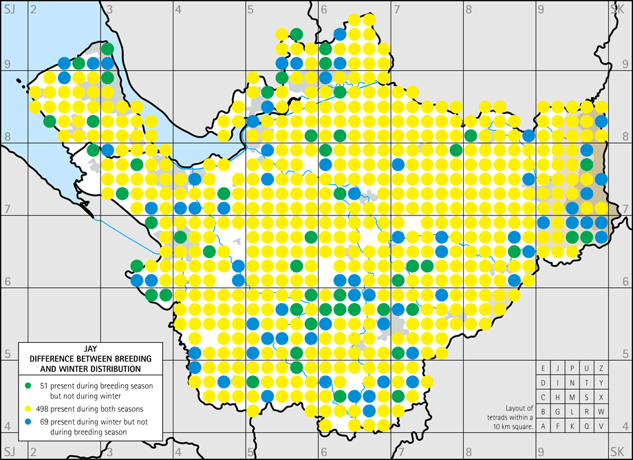 Difference between breeding and winter distribution map