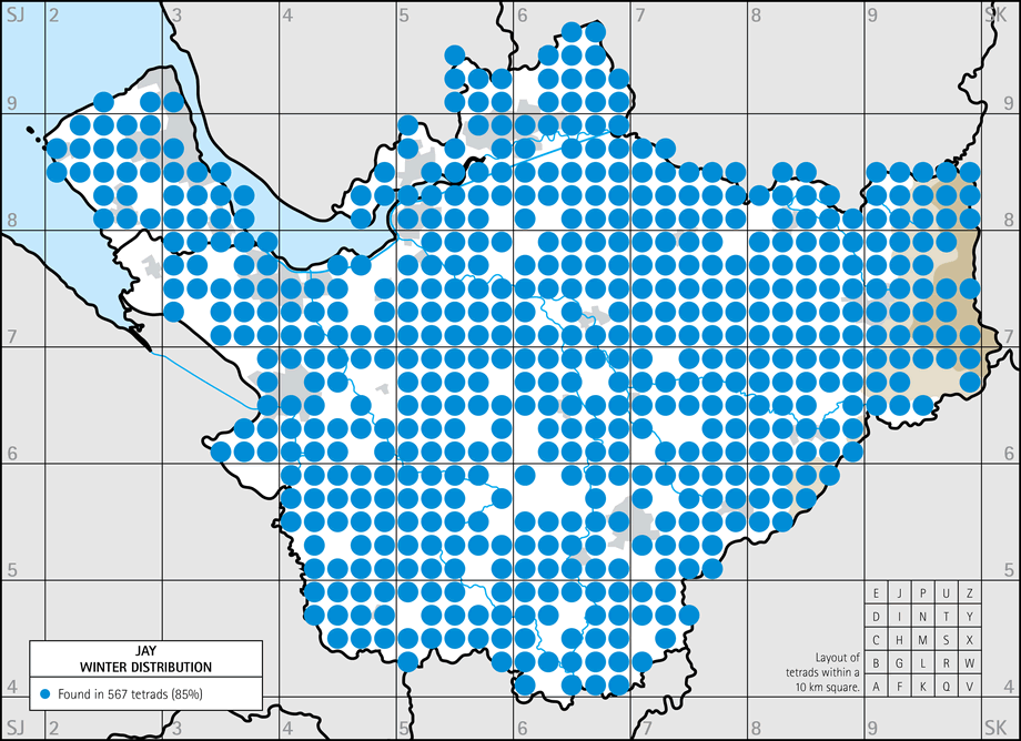 Winter distribution map