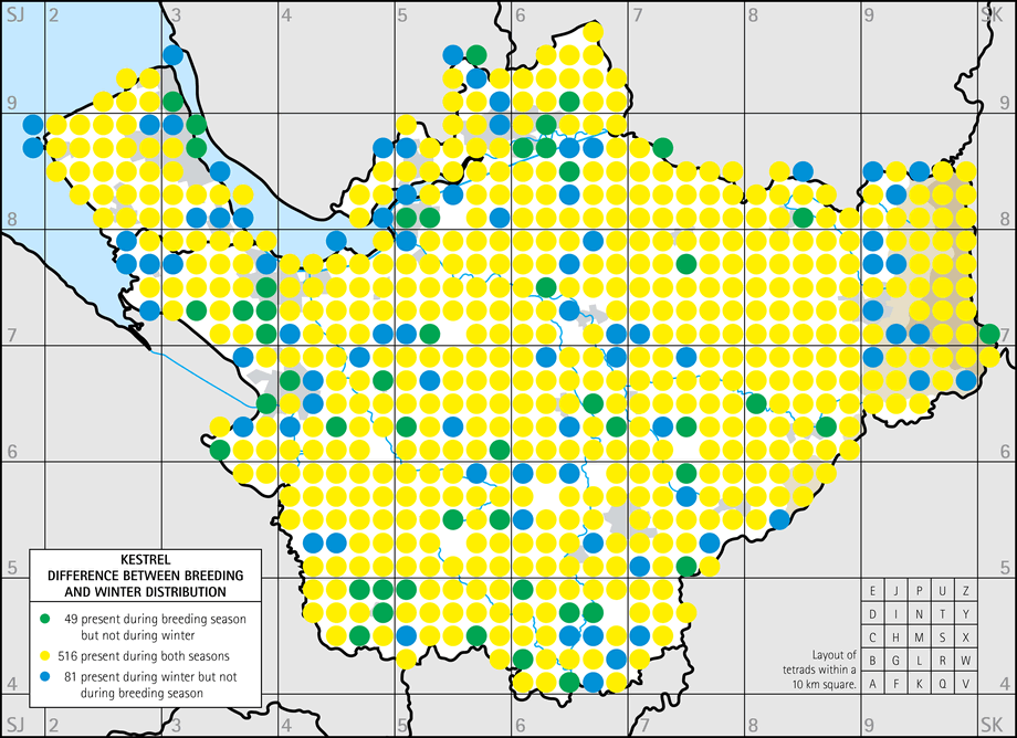 Difference between breeding and winter distribution map