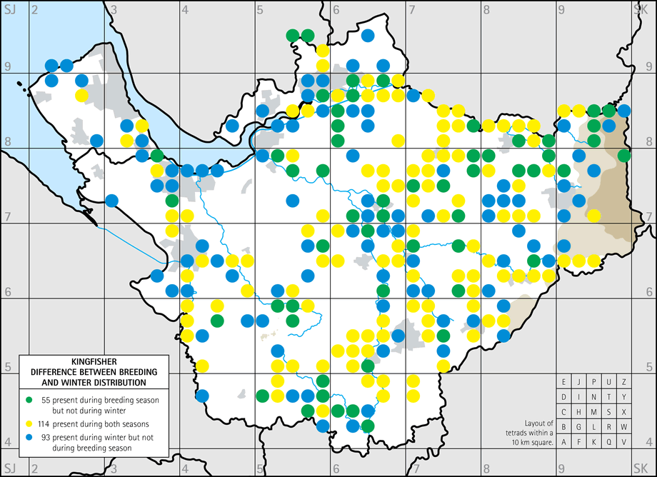 Difference between breeding and winter distribution map