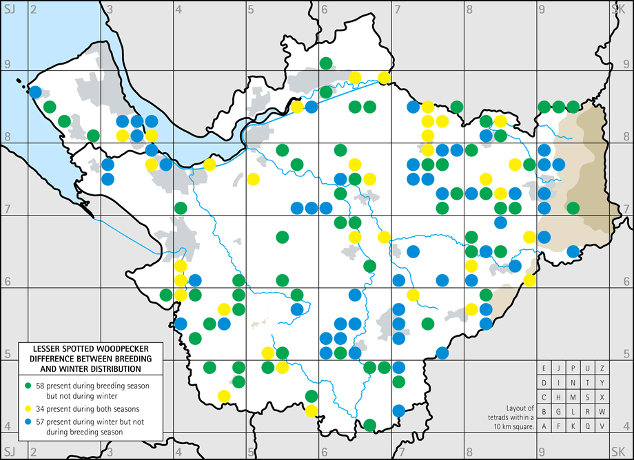 Difference between breeding and winter distribution map