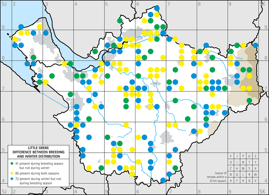 Difference between breeding and winter distribution map