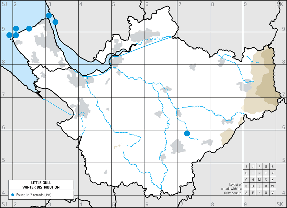 Winter distribution map