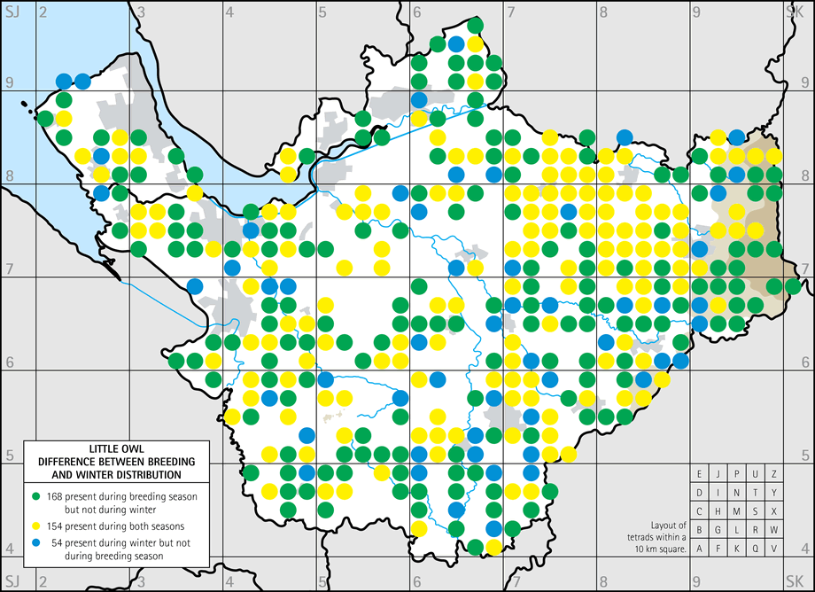 Difference between breeding and winter distribution map