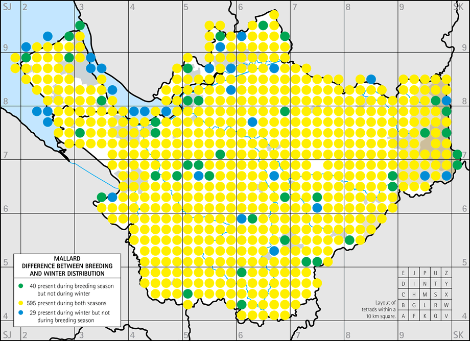 Difference between breeding and winter distribution map