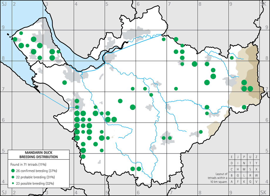 Mandarin Duck breeding distribution maps