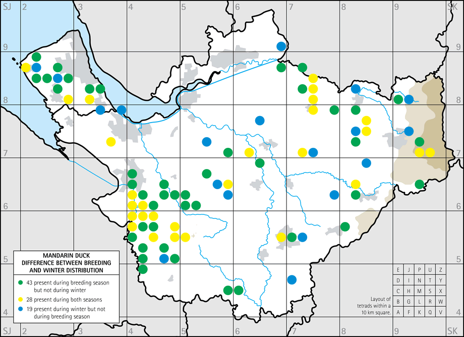 Mandarin Duck wintering maps