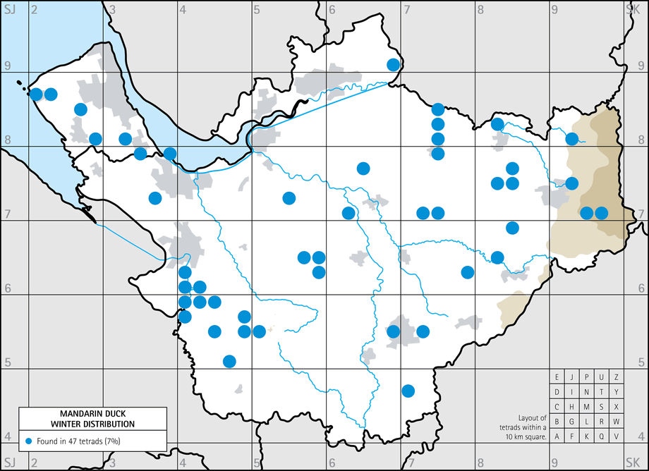 Mandarin Duck wintering maps