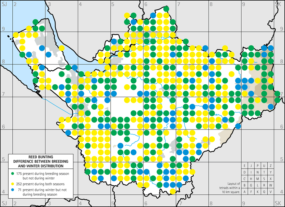 Difference between breeding and winter distribution map