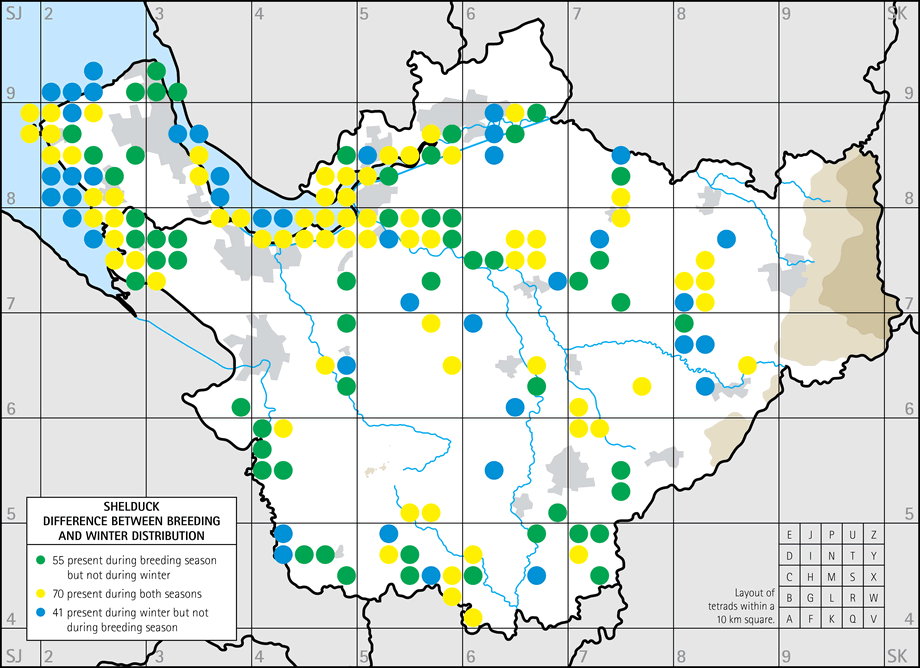 Difference between breeding and winter distribution map
