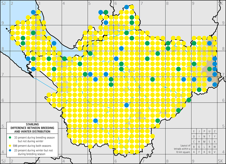 Difference between breeding and winter distribution map