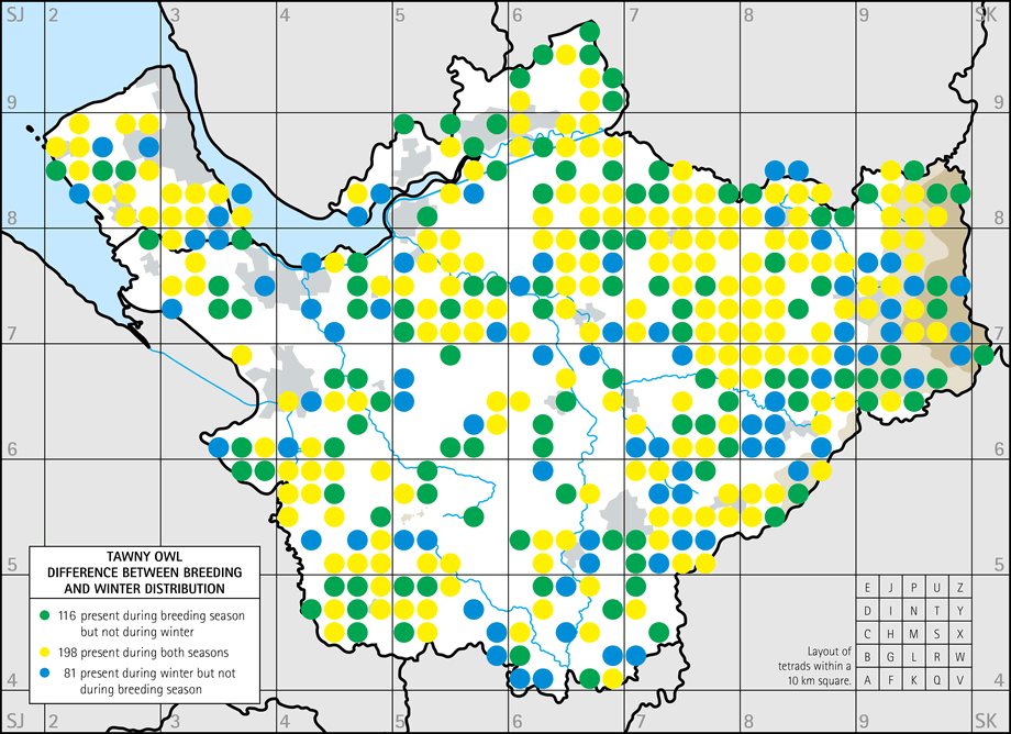Difference between breeding and winter distribution map