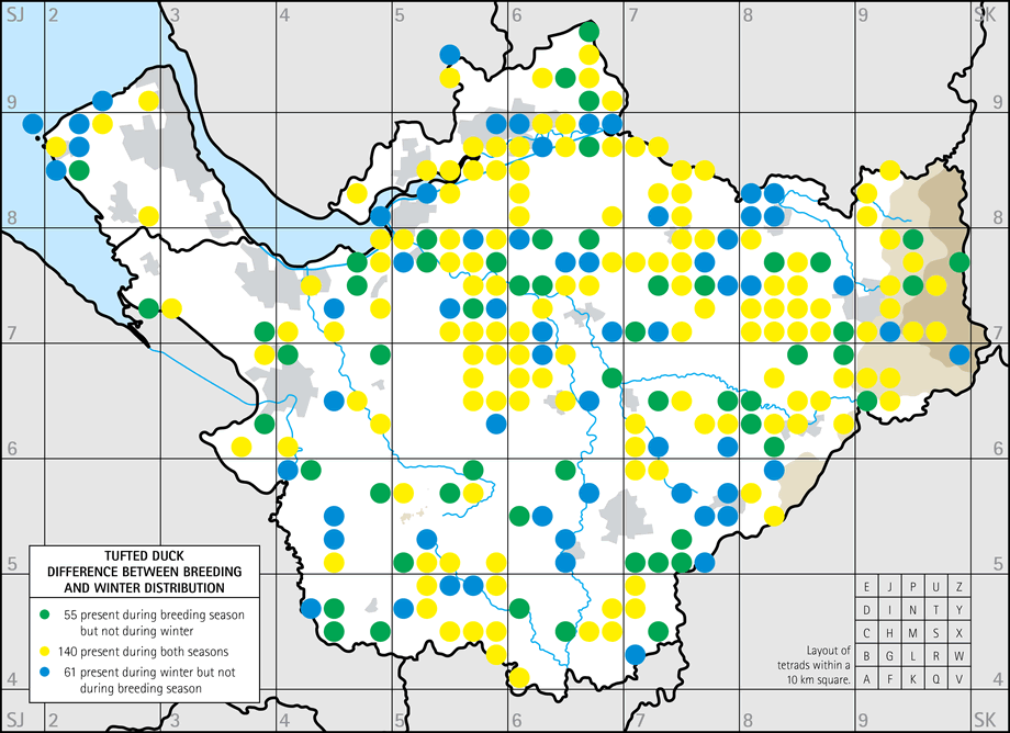 Difference between breeding and winter distribution map