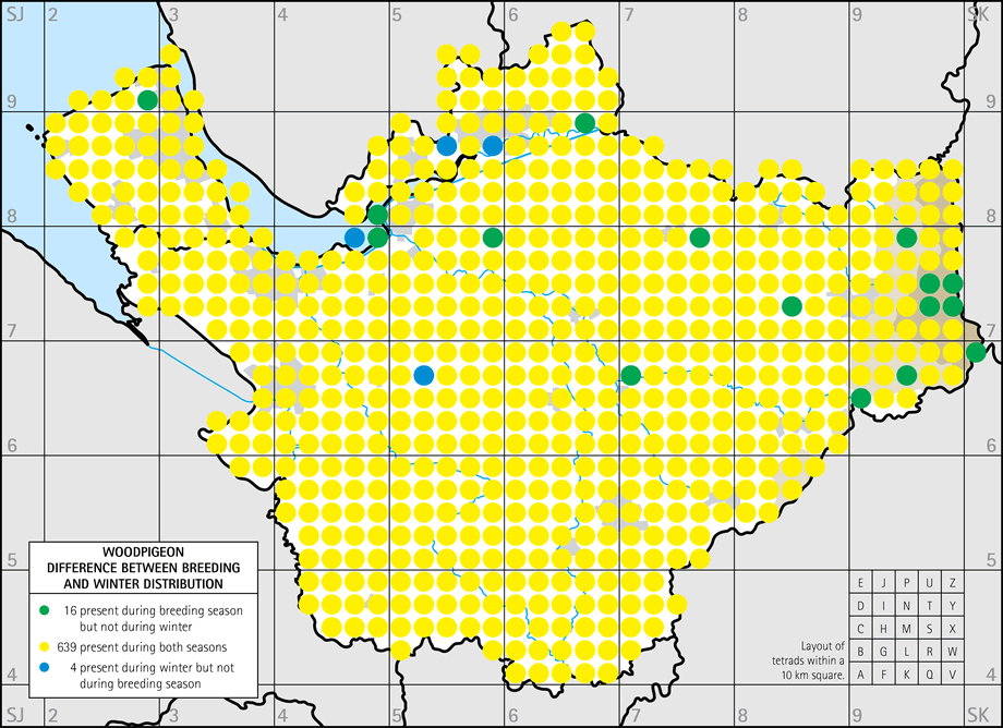 Difference between breeding and winter distribution map